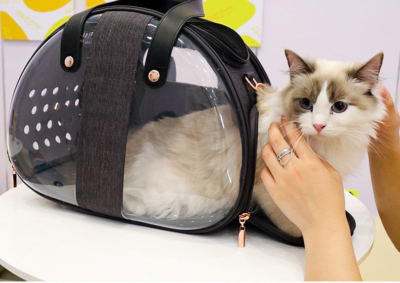 Transparent Cat Backpack