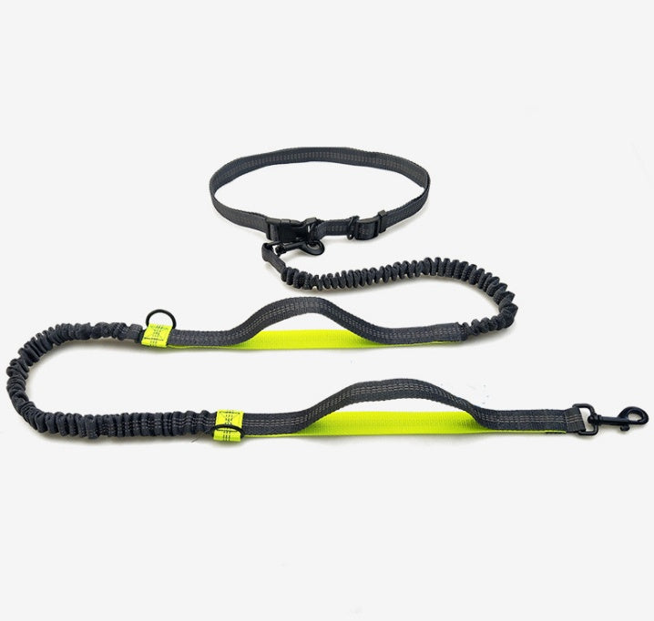 Multi-function running Dog leash