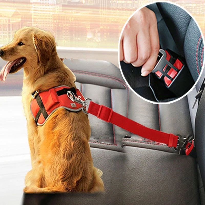 pet car seat belt 