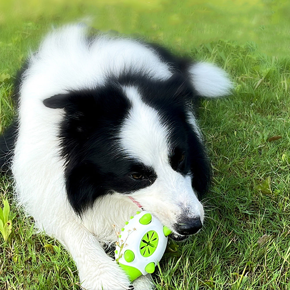 Dog Chew Toy