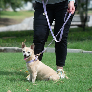 Training Dog Leash