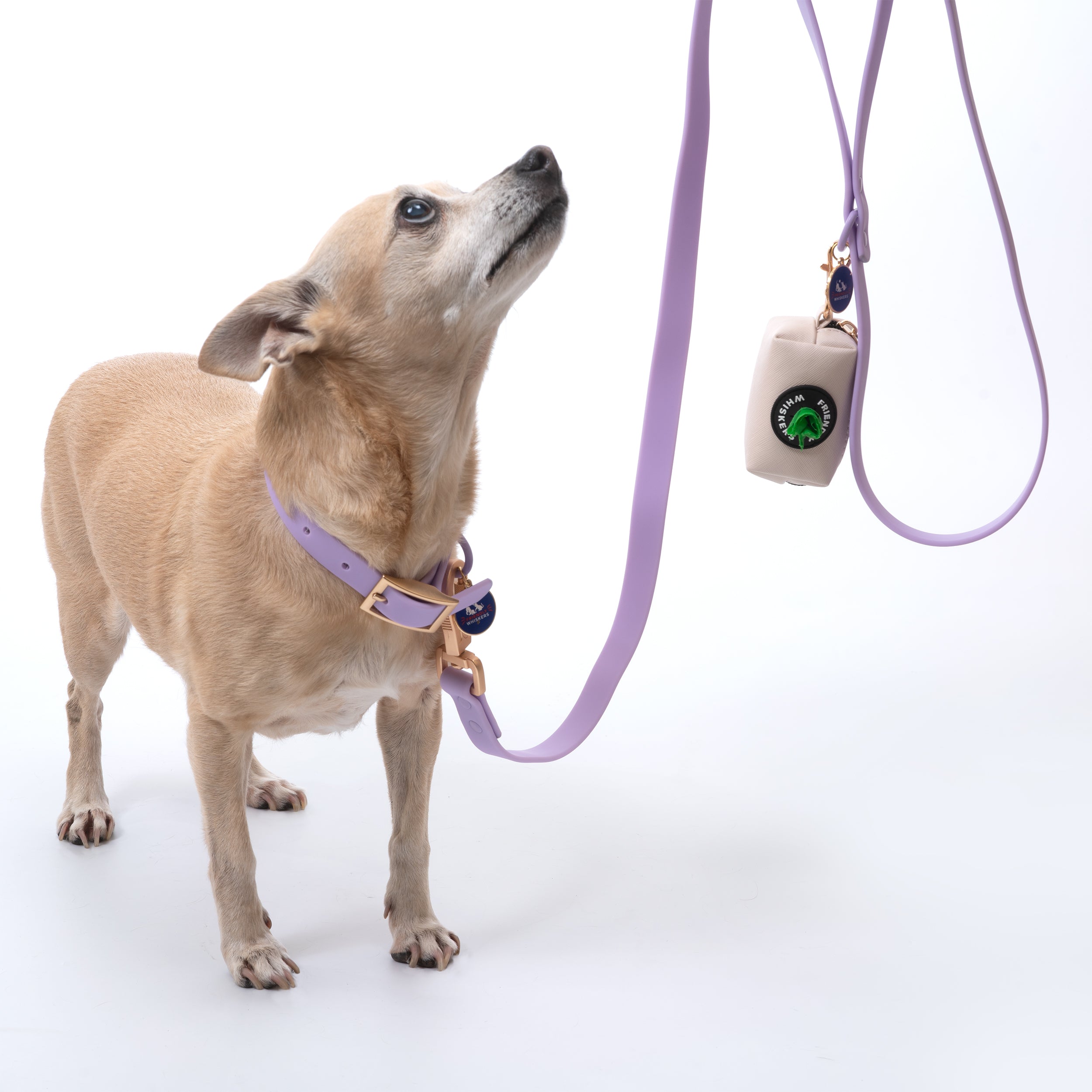 Training Dog Leash