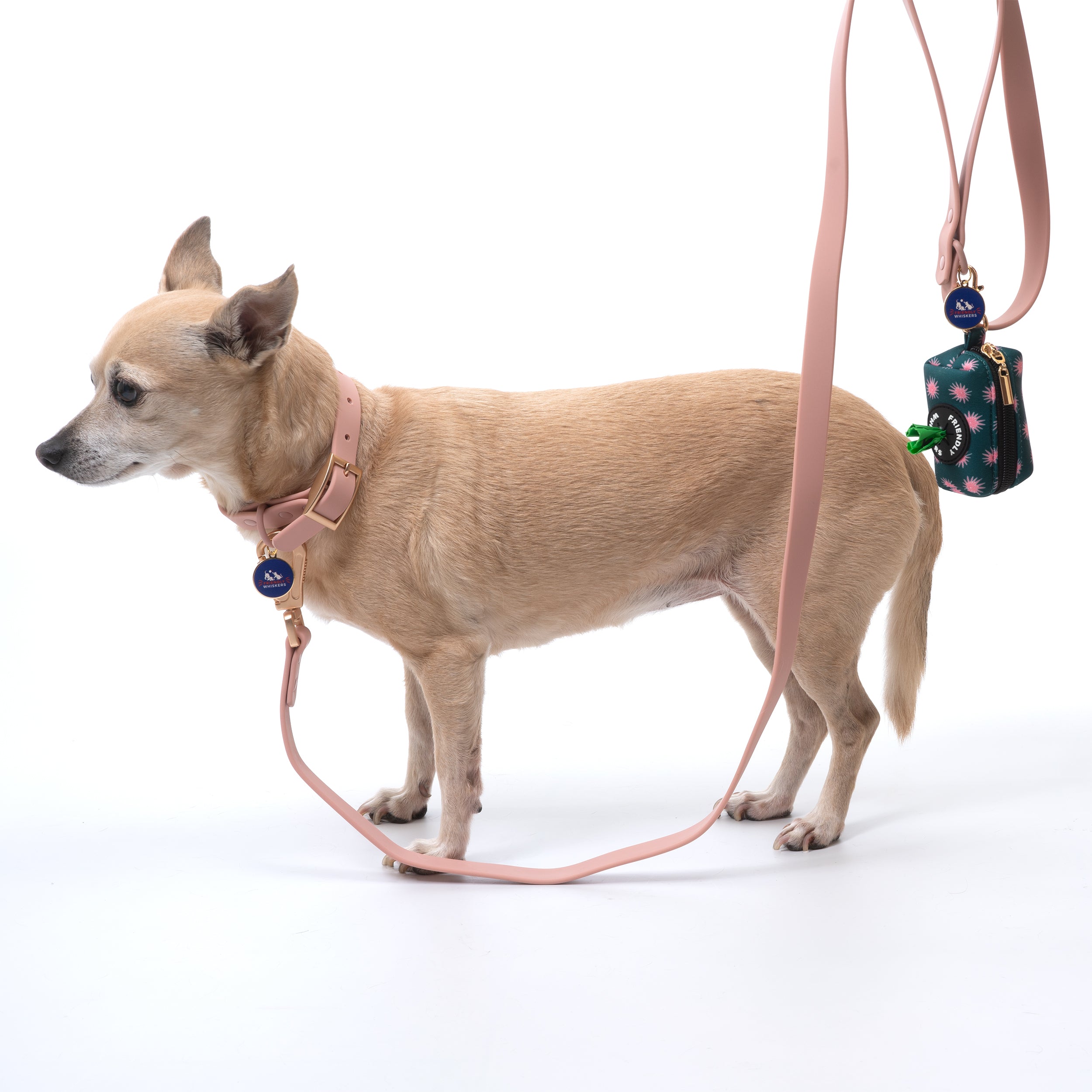 Training Dog Leash