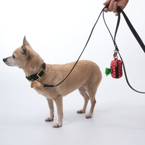 Training Dog Leash