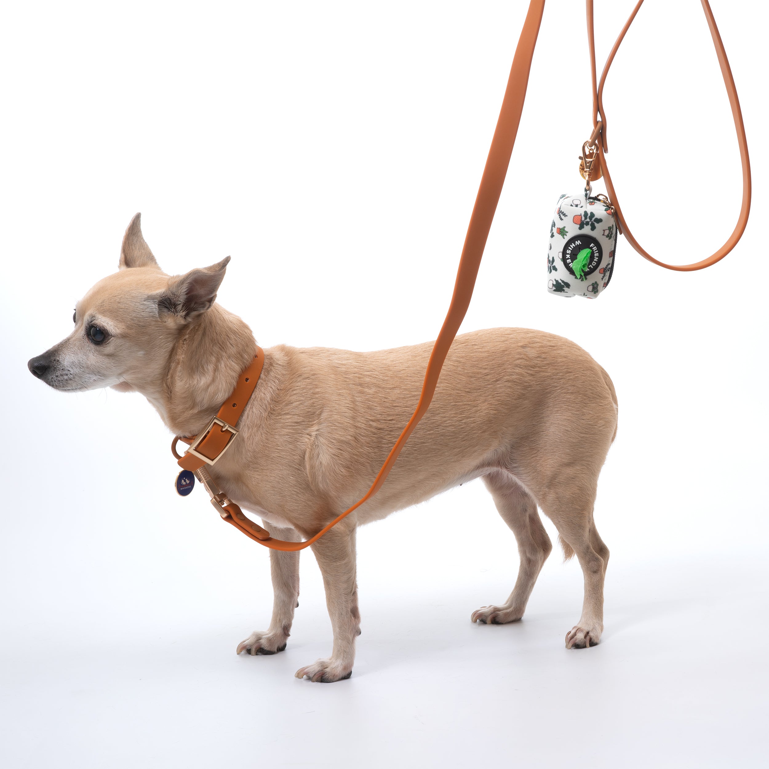 Training Dog Leash