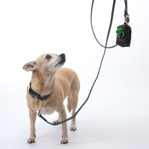 Training Dog Leash